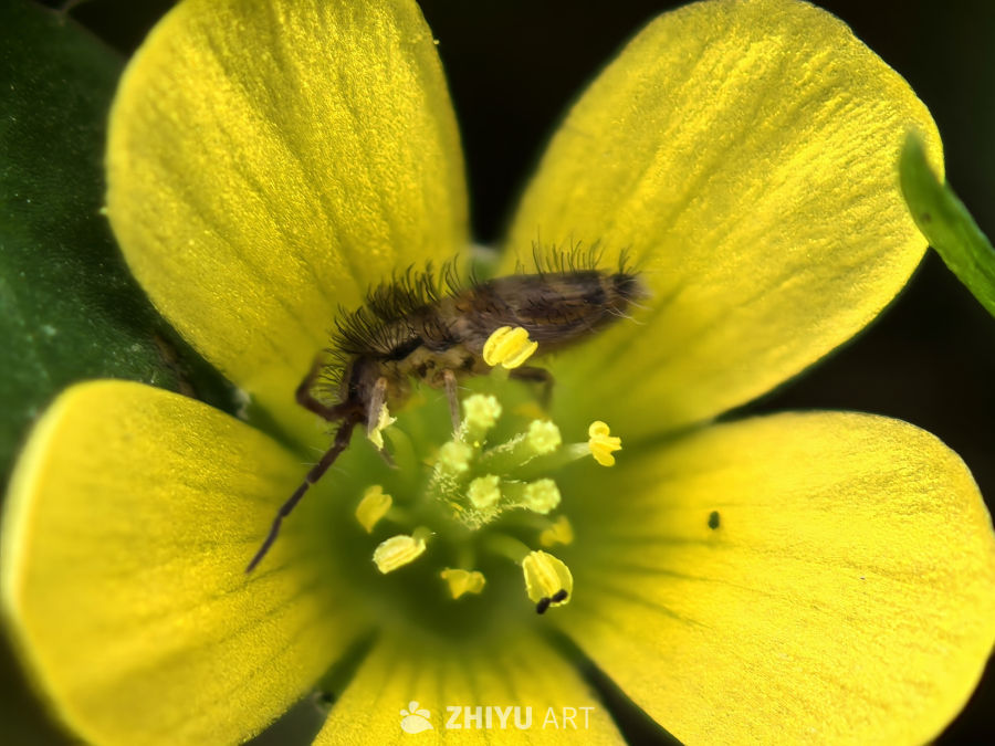 我的世界大于这世界