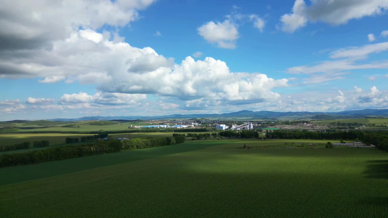 lv_0_20250812024158 5