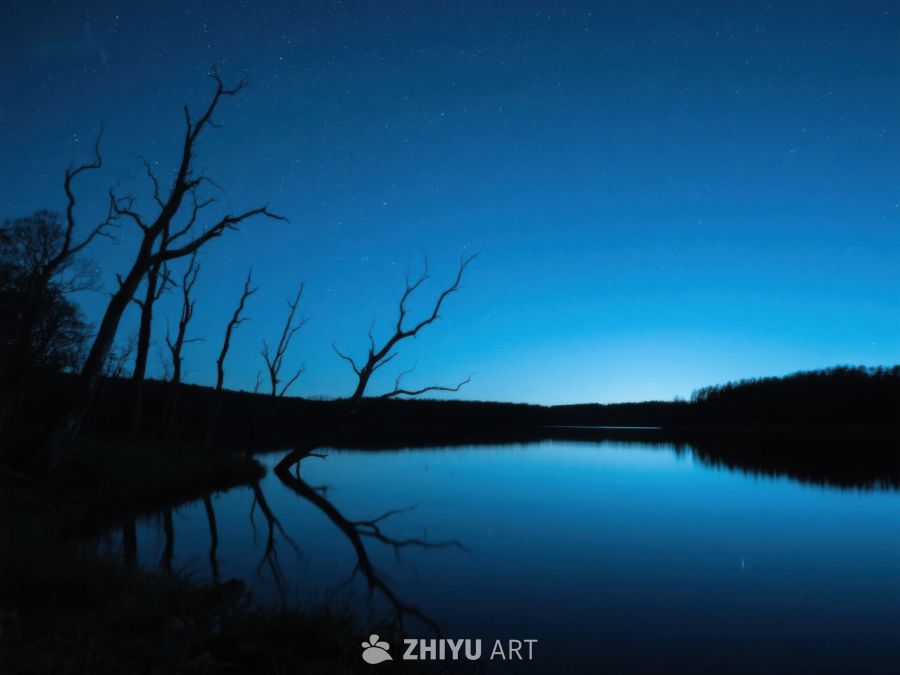 夜幕下的湖畔枯树剪影 496