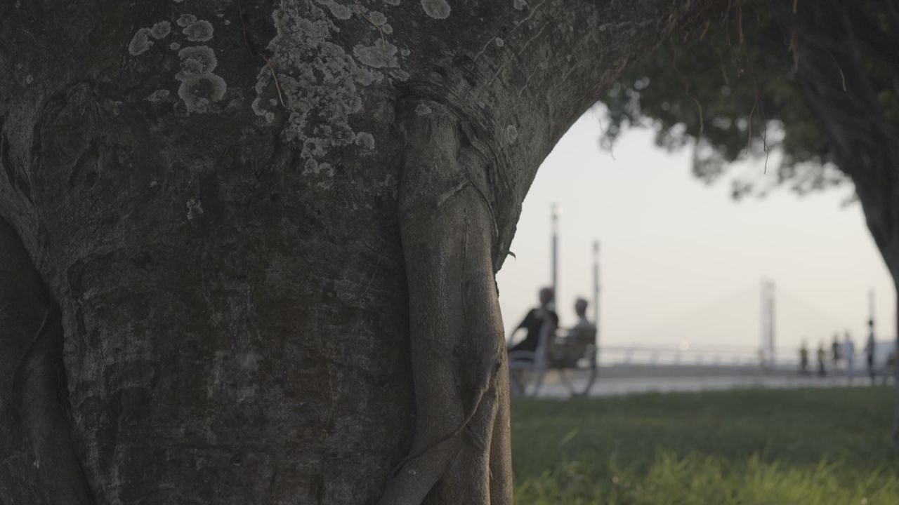 海滨路座椅上休息的老人