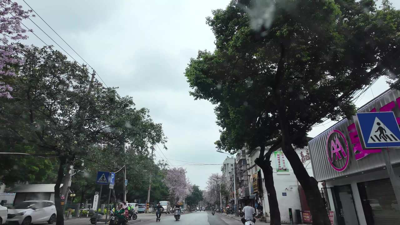 窗外 6