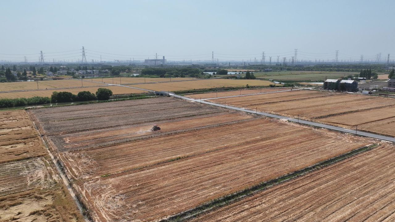 4K航拍昆山农业夏收 14