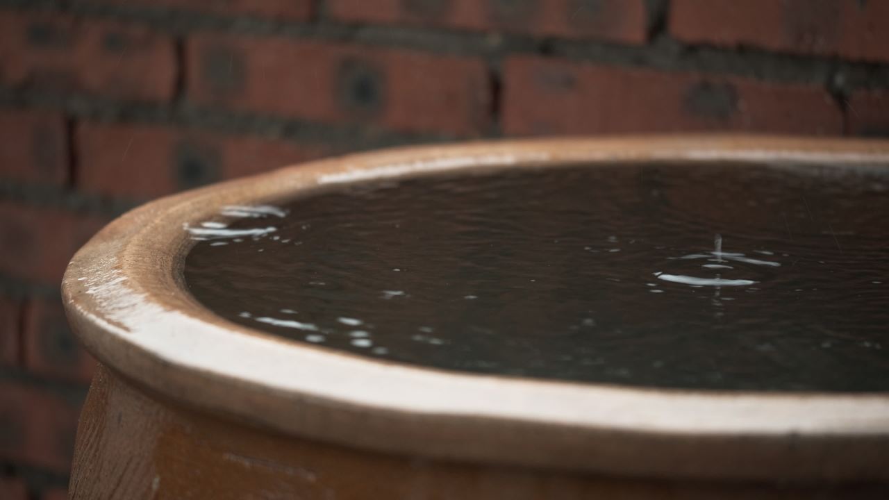 阴天下雨水滴雨滴天气 22
