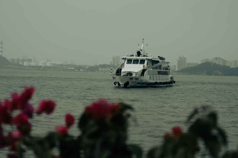 花与船