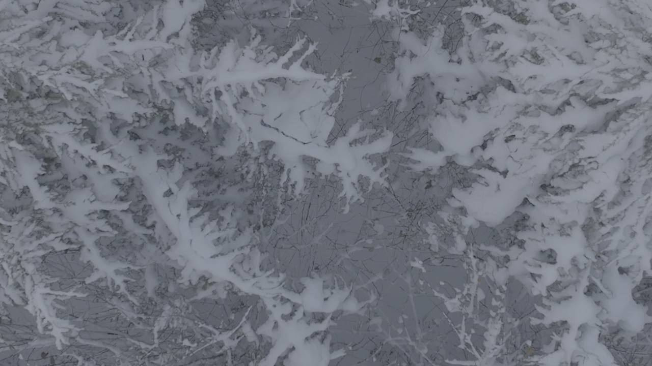 冬日森林雪景