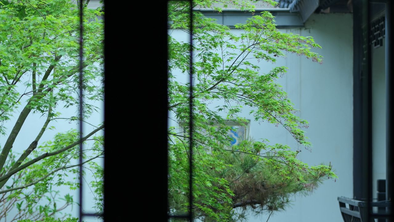 中式建筑空镜头 11