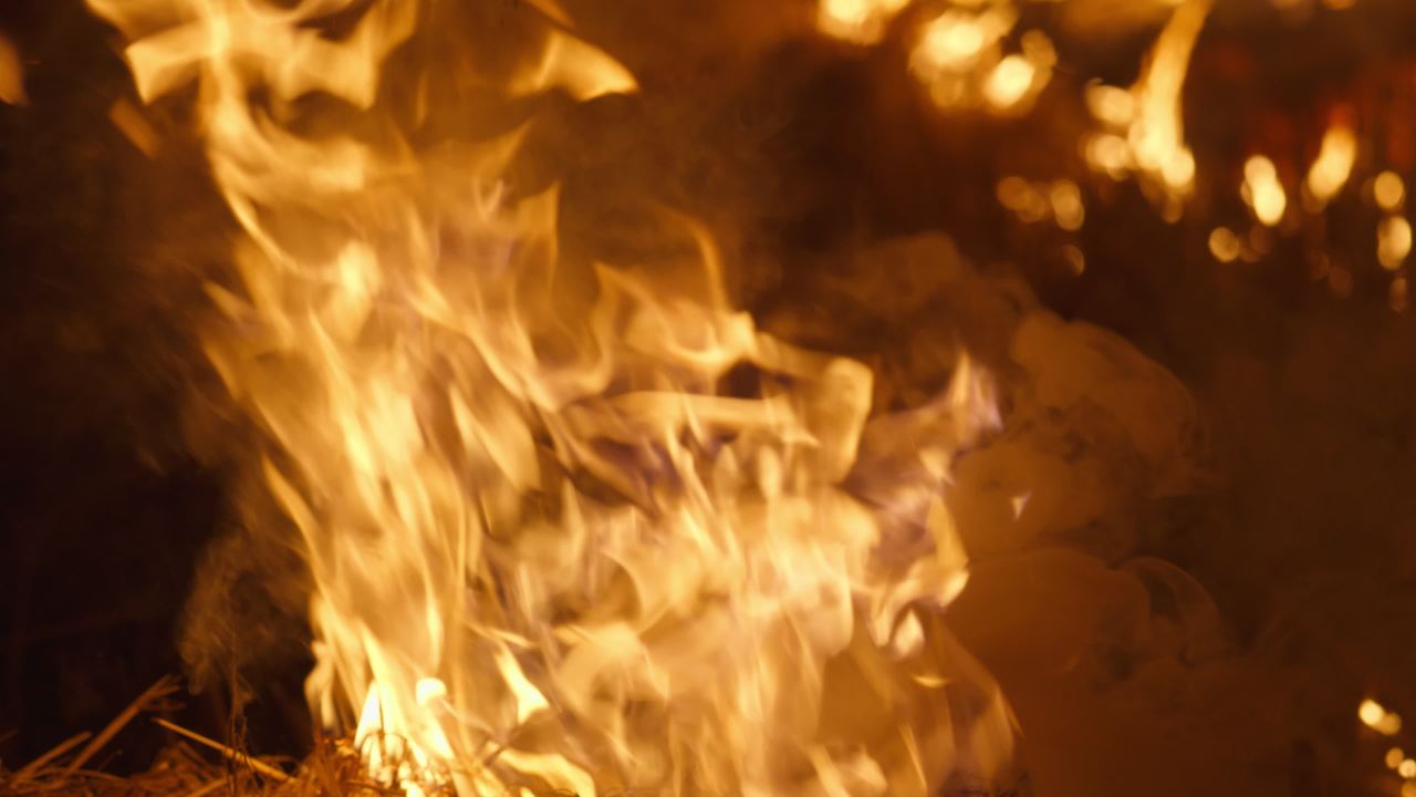 森林大火灾焚烧秸秆火焰燃烧 16
