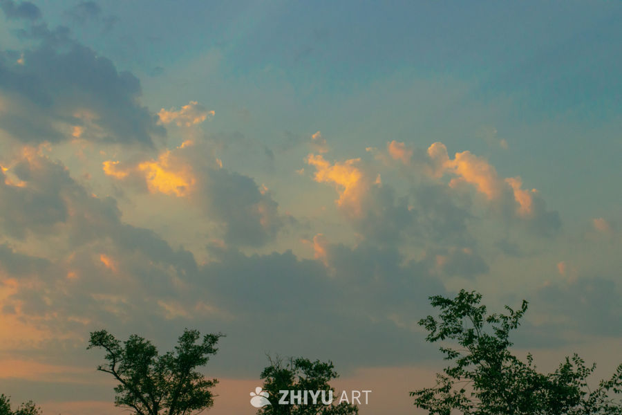 黄昏树梢云影