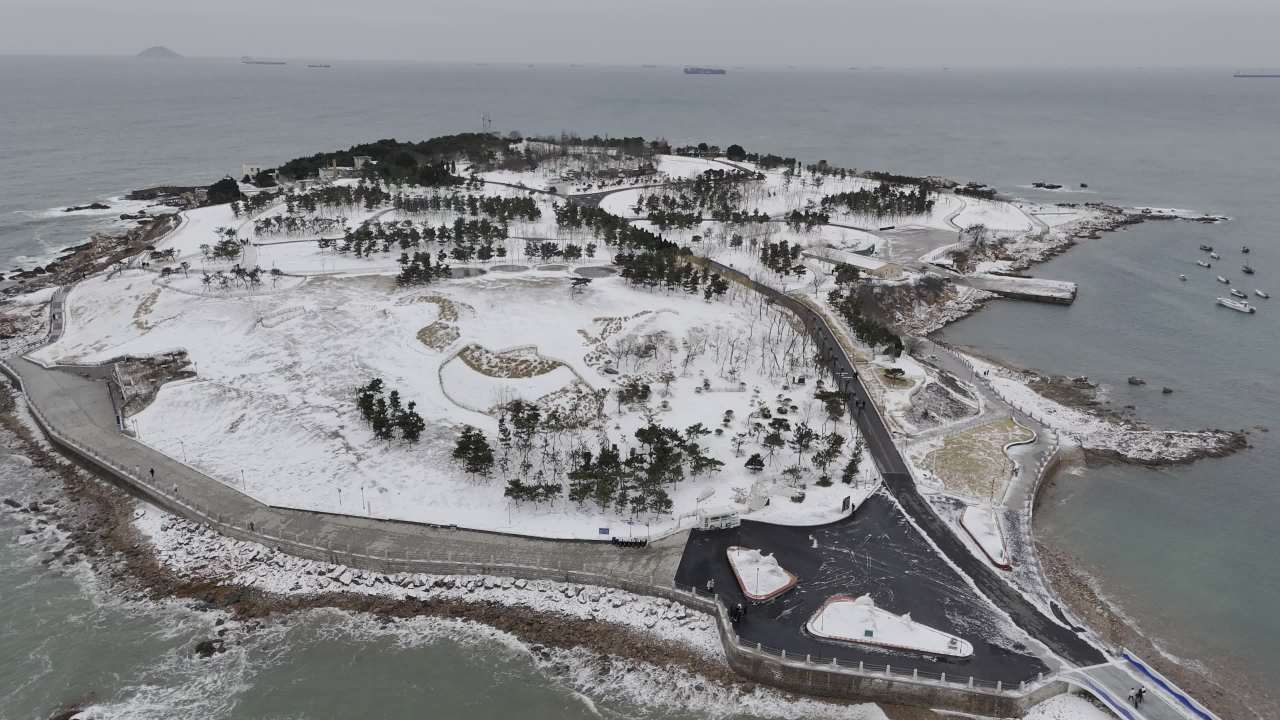 青岛小麦岛海边雪景航拍 15