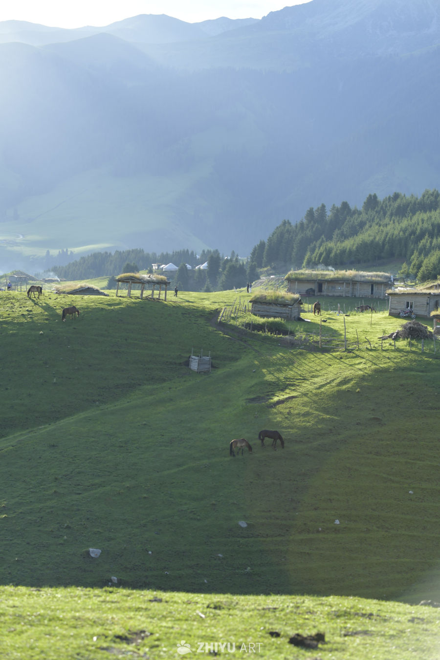山间牧场