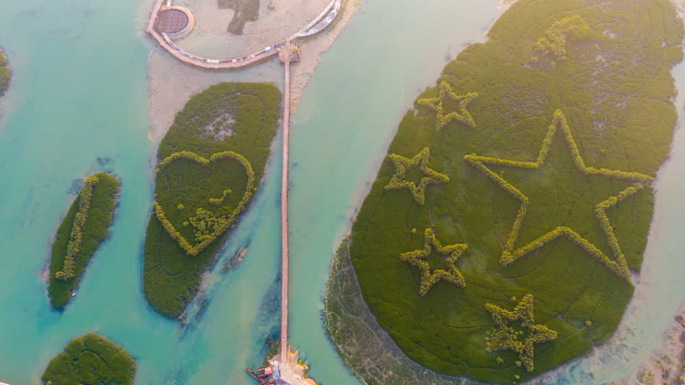 厦门下潭尾滨海湿地公园