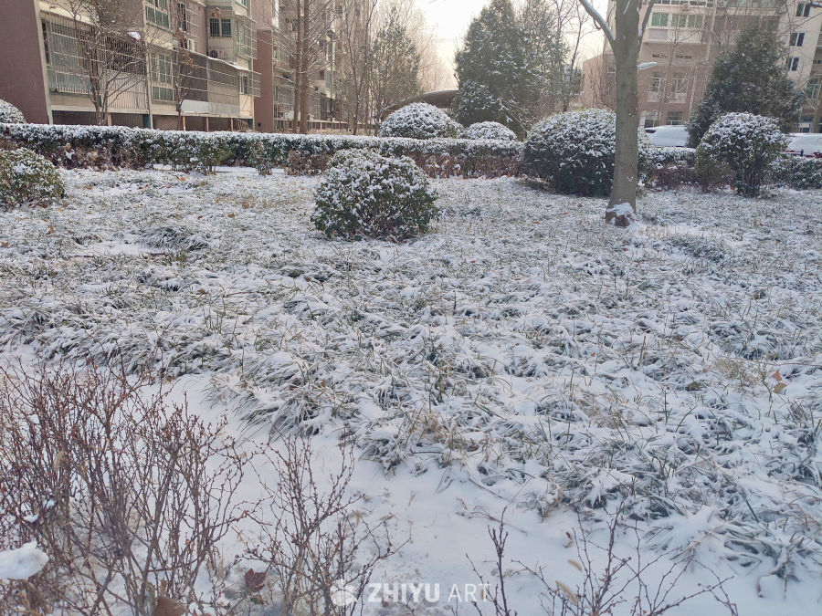 北京居民小区内冬日雪景
