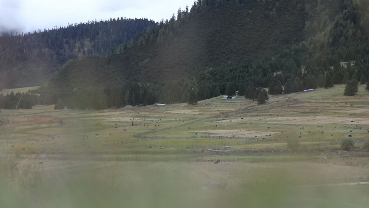 宁静的山村