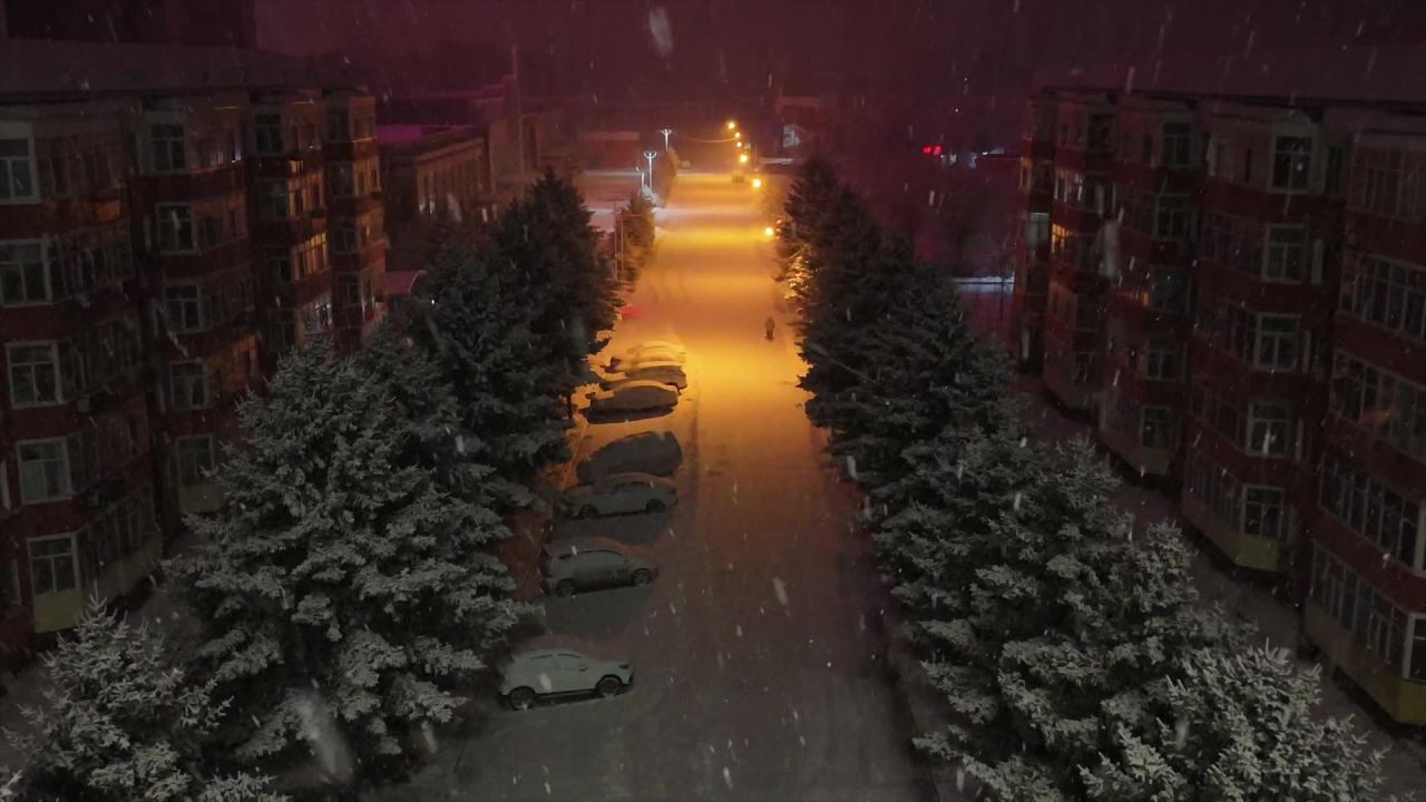 lv_0_20241127121207 8