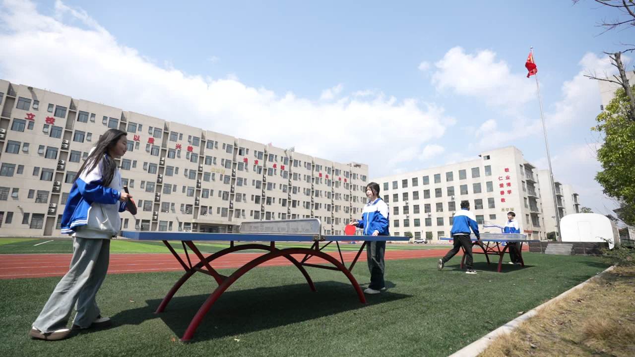 运动 37