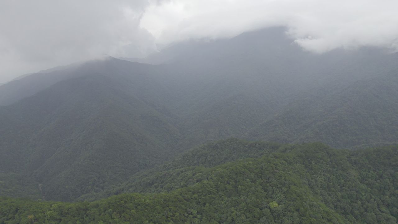 广西十万大山 4