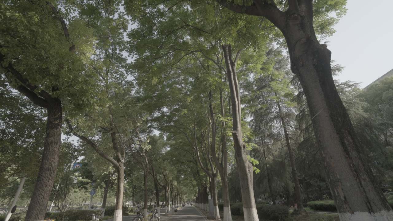 宜昌江边 97
