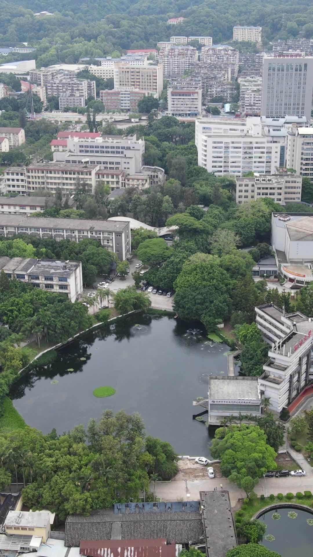 城市绿洲：湖畔建筑