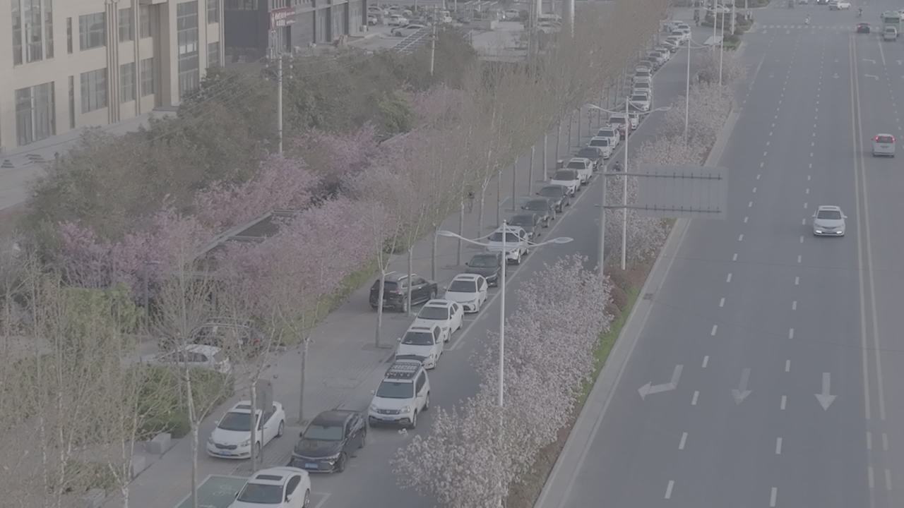 城市春日街景