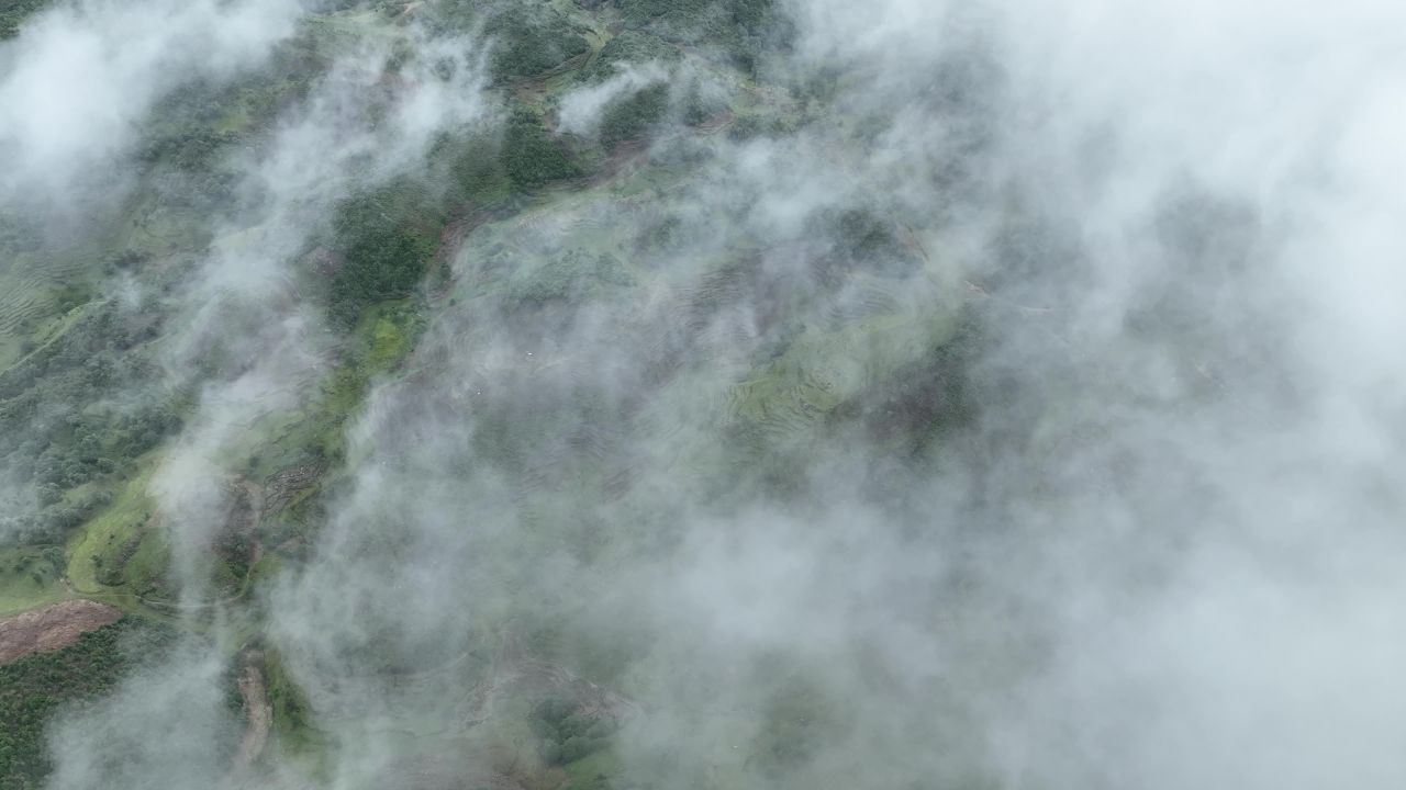 产业振兴 53