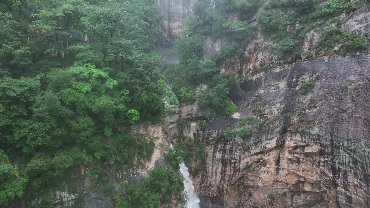 雨中森林观景台