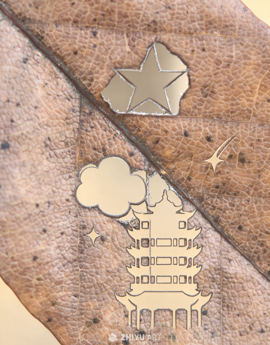 自然世界的奇迹之美