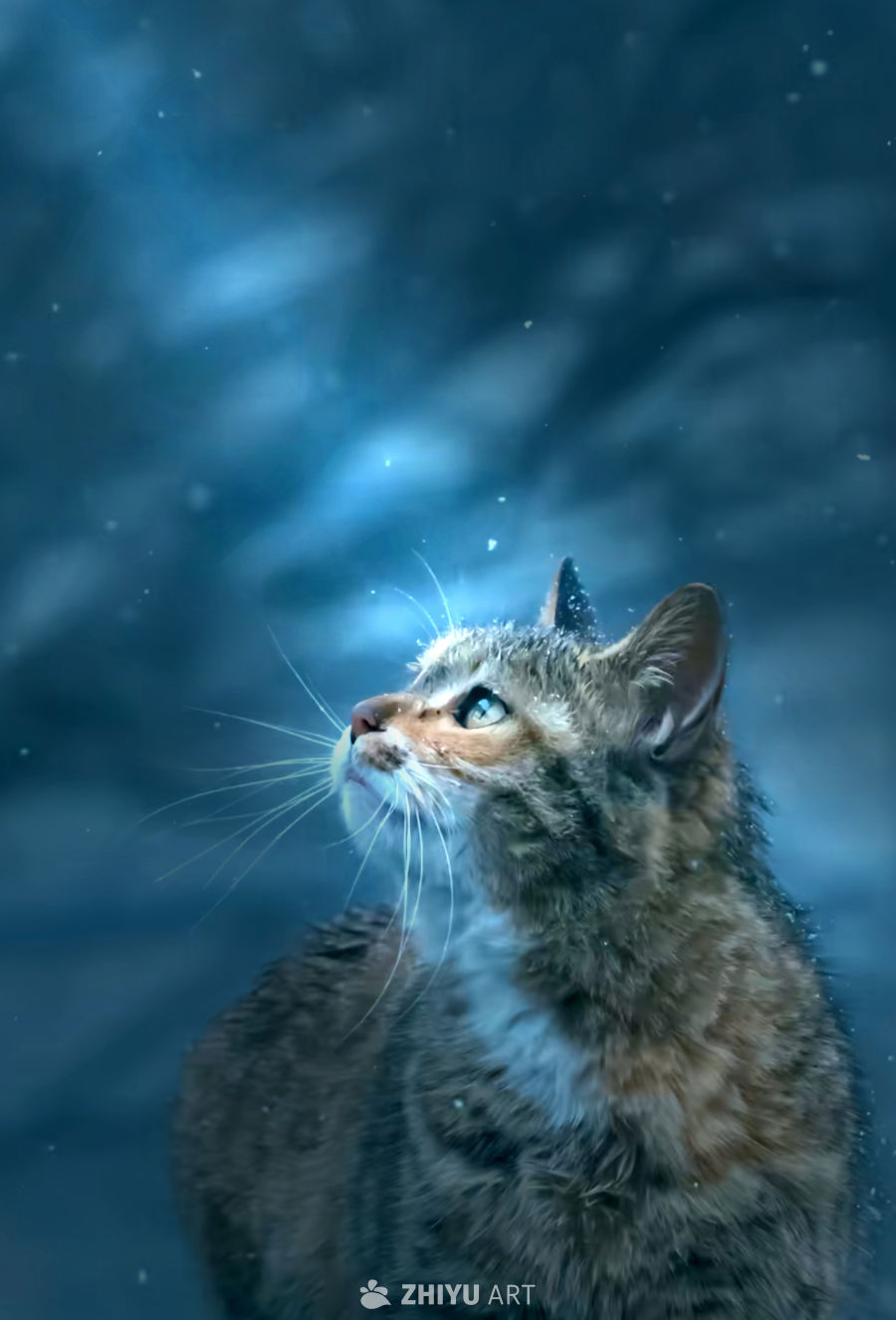 蓝眸猫咪仰望雪景