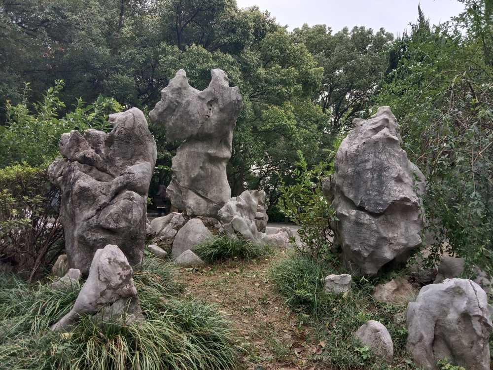 风景