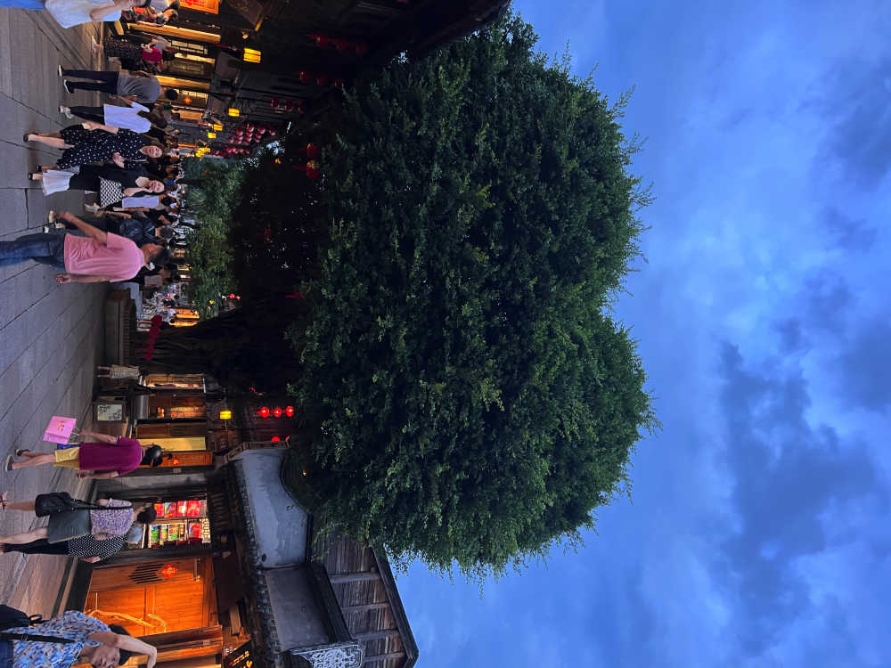 福州爱心树