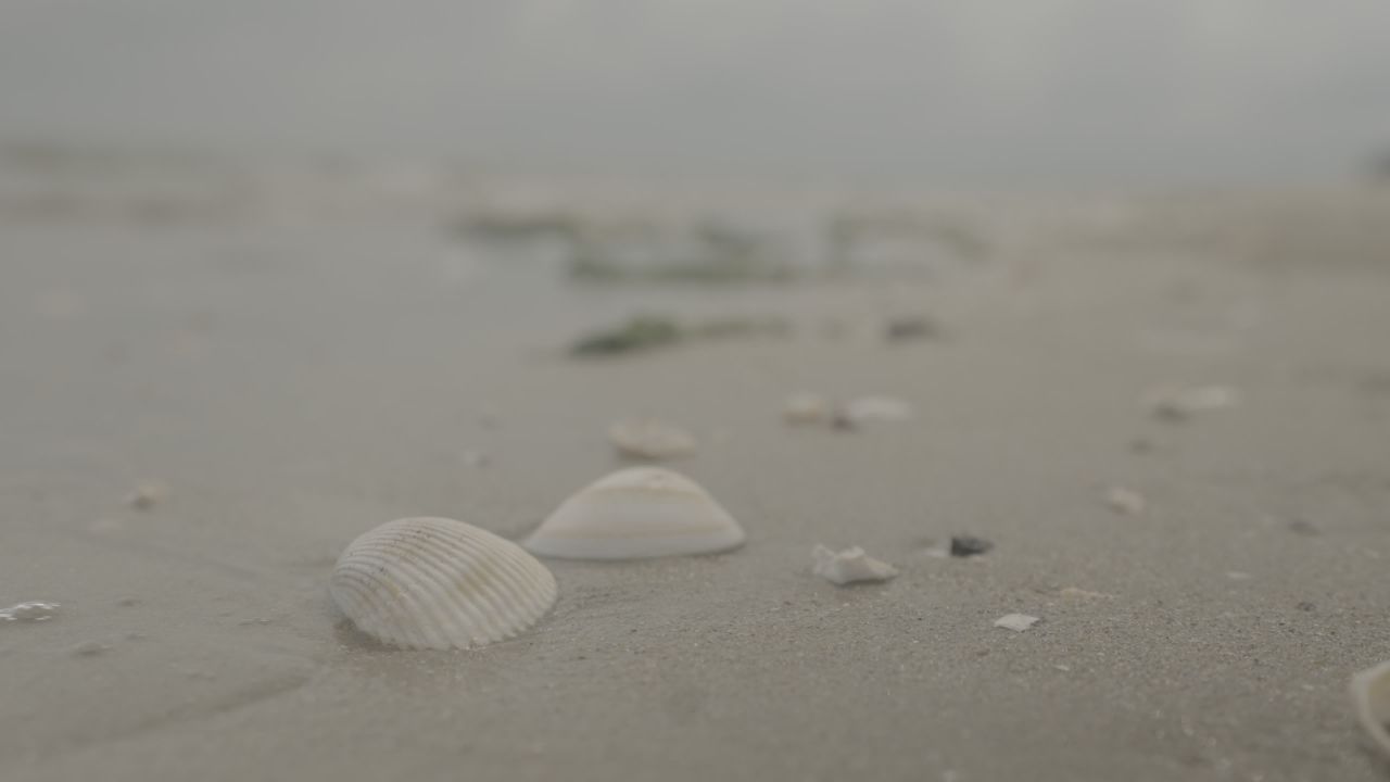 沙滩 17