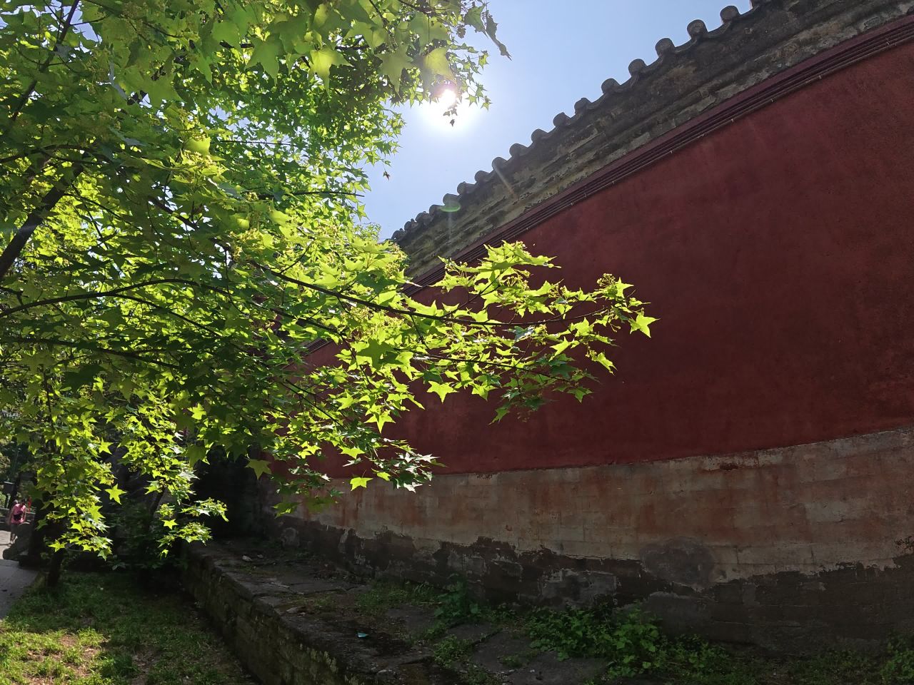 古韵红墙映绿叶