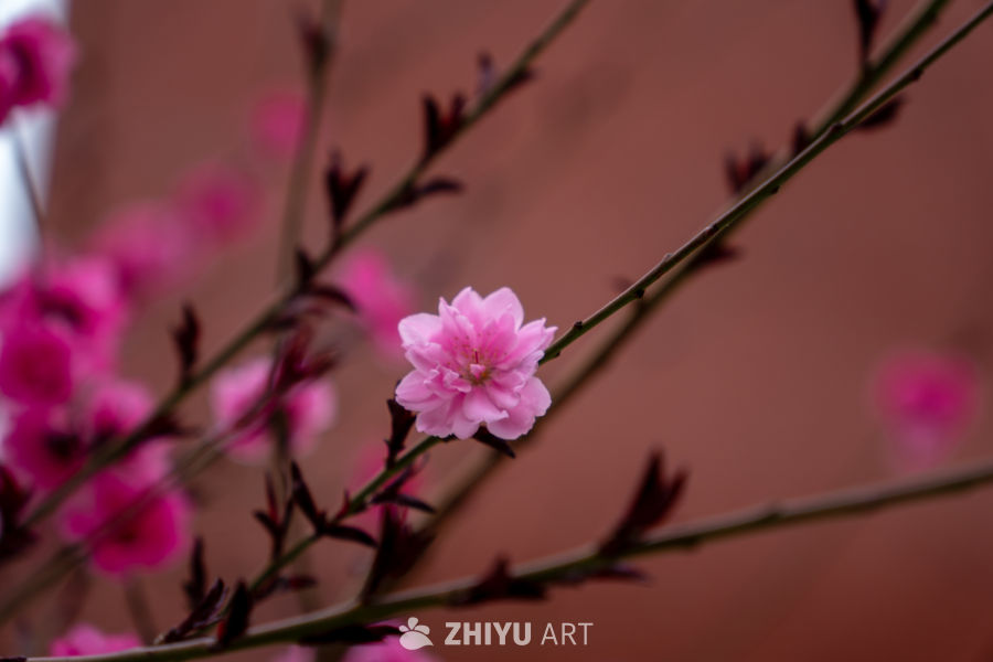 风景秀丽 6