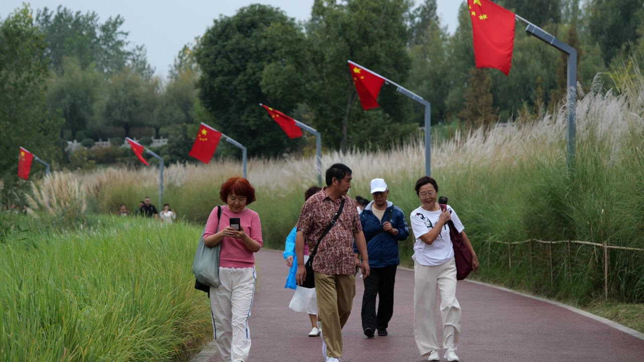 国庆江边芦苇荡 14
