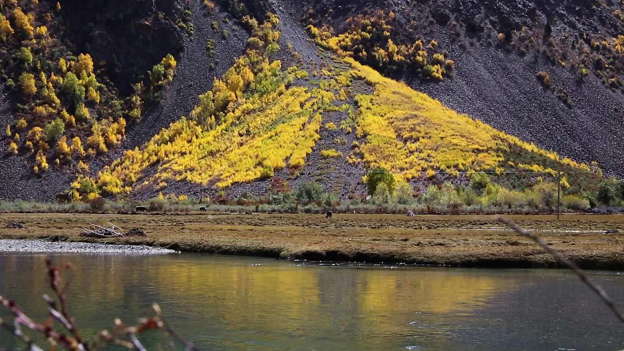 西藏秋季雪山山脉风景