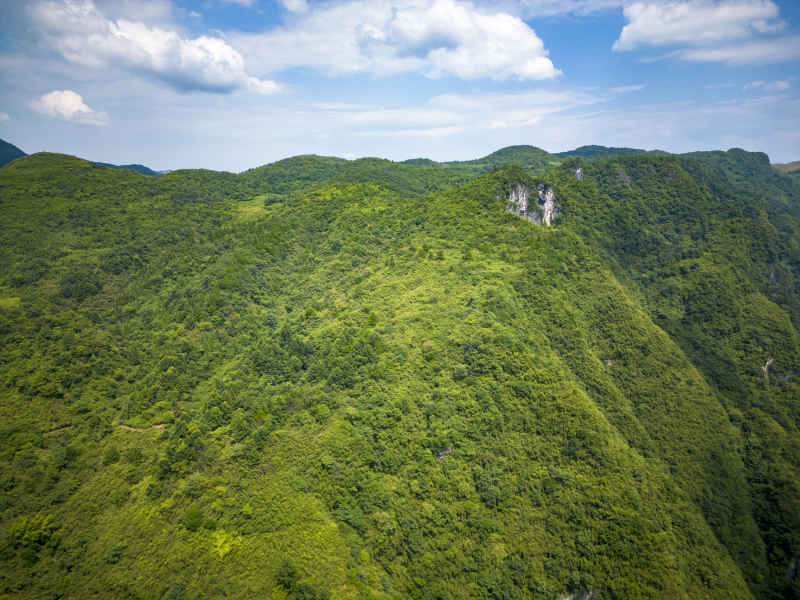  祖国壮丽山河蓝天白云青山森林摄影图