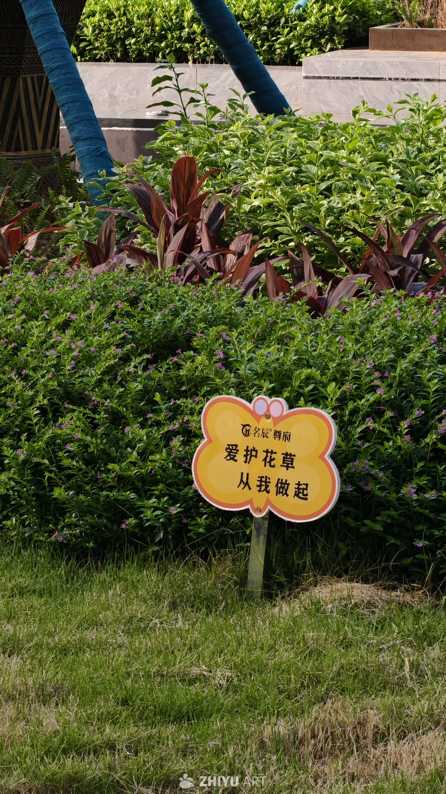爱护花草