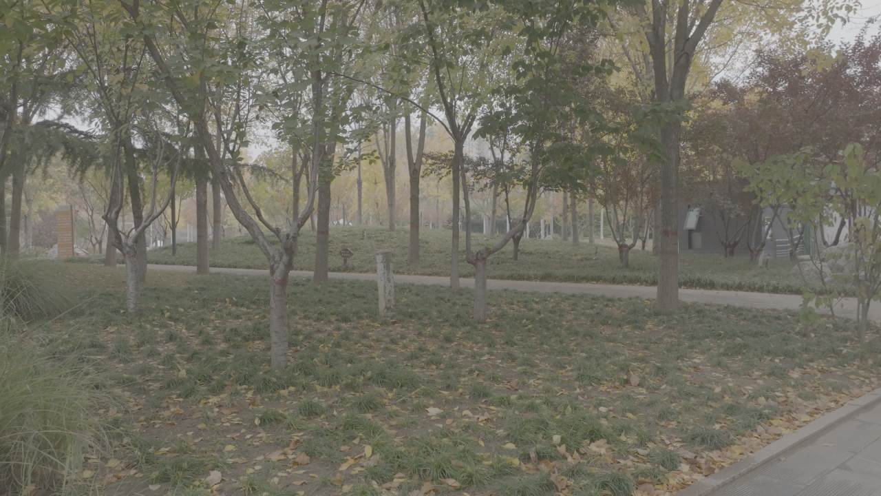 秋日公园漫步