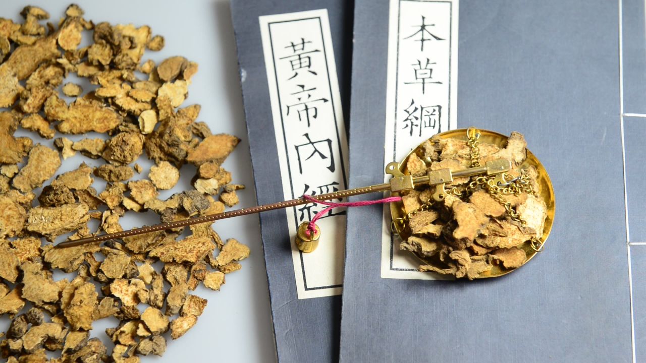 中药材苍术 21