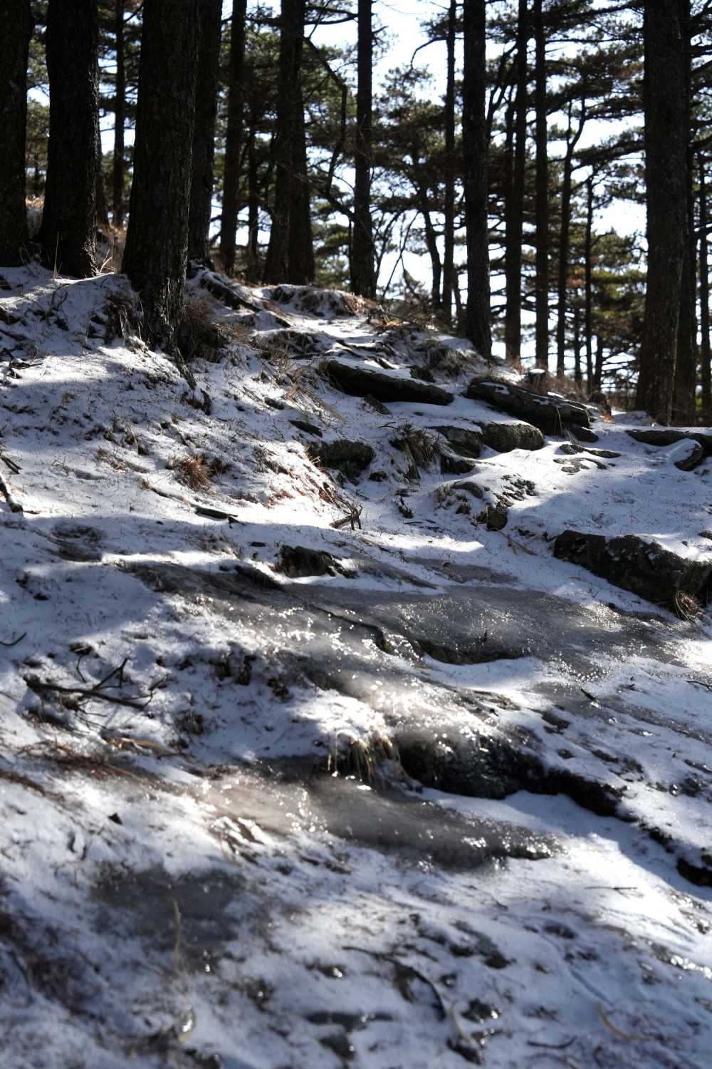 雪落黄山，雾凇云海——雪篇