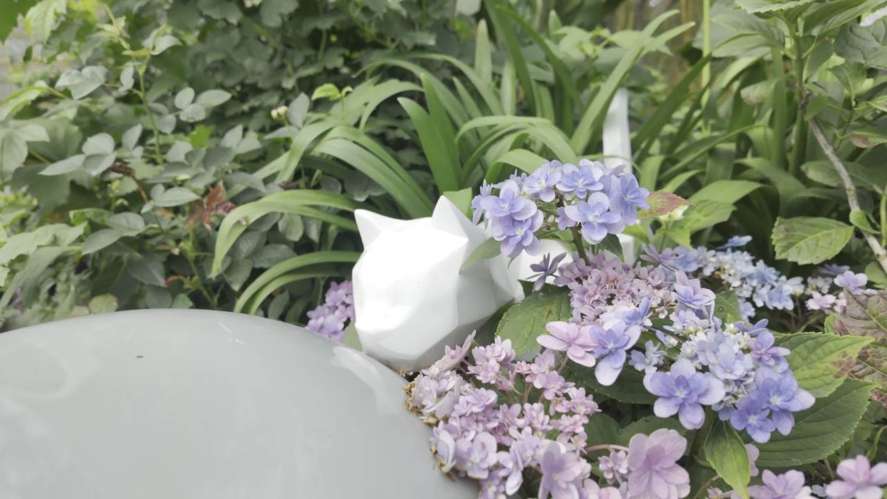 园林里的花花草草2 5