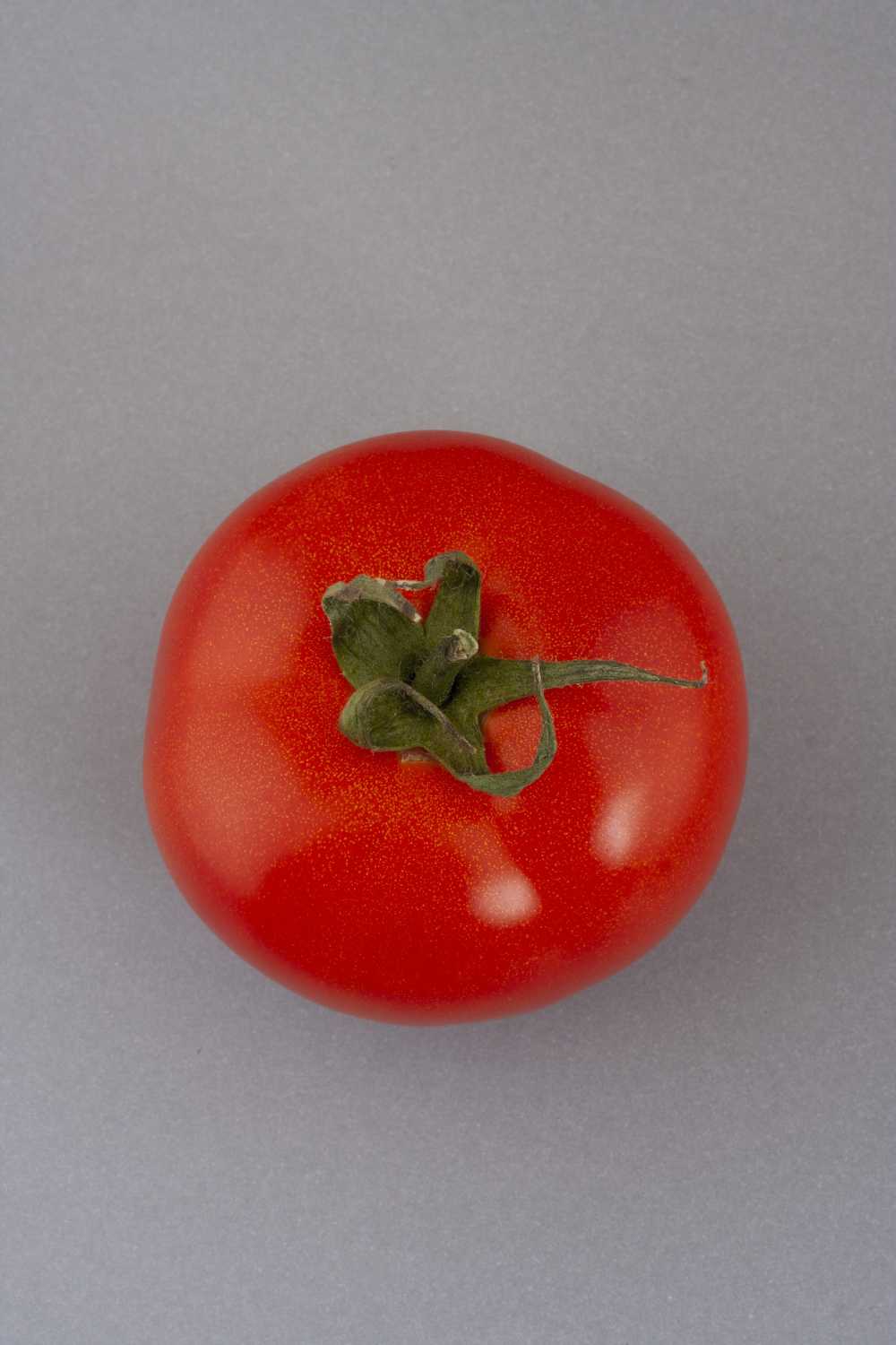番茄红色绝缘食品
