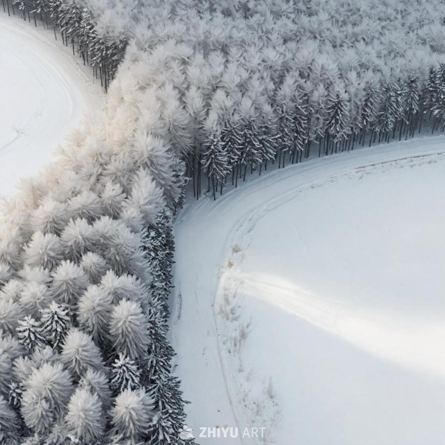 白雪覆盖的风景，其中包含树木和道路。树木上覆盖着积