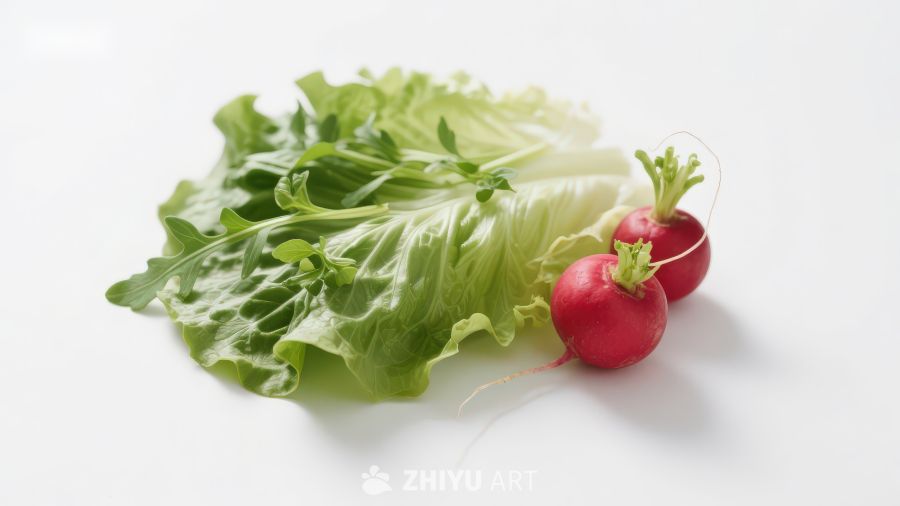 生菜与红萝卜静物