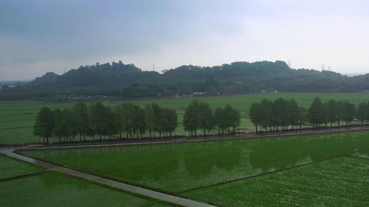 中山市崖口村空镜头