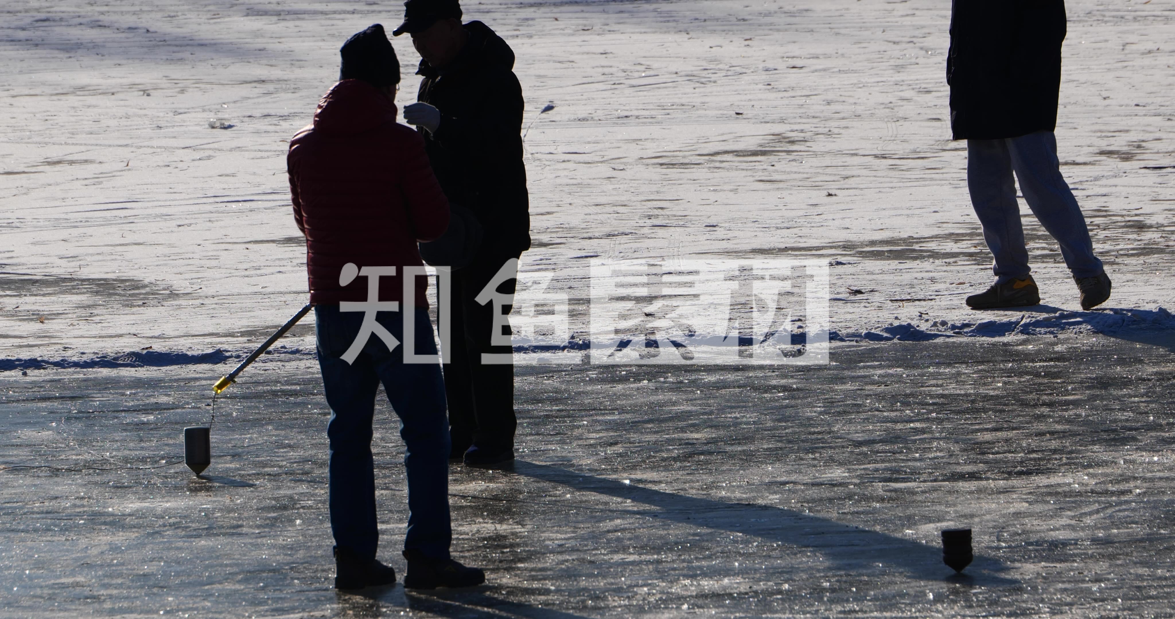 长春市民大年初四看雪雕 滑出溜滑 打冰嘎-中国吉林网