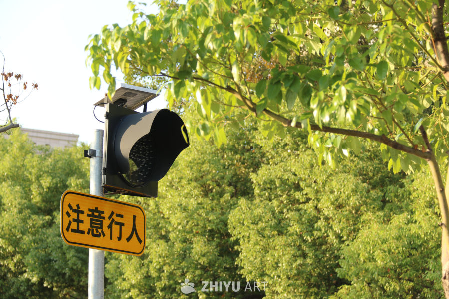 行人提醒信号灯与绿树