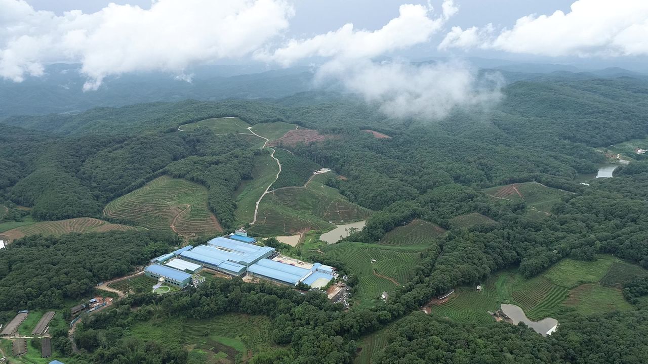 万亩茶园种植基地1
