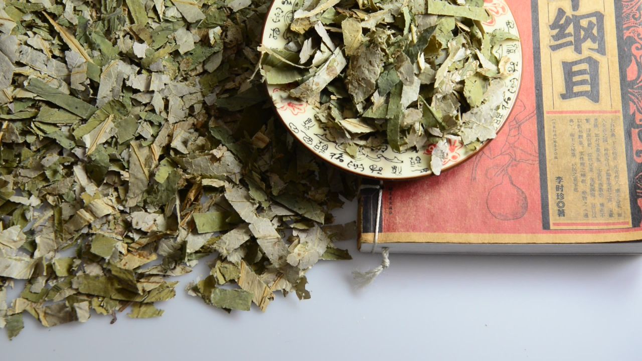 荷叶中药材 19