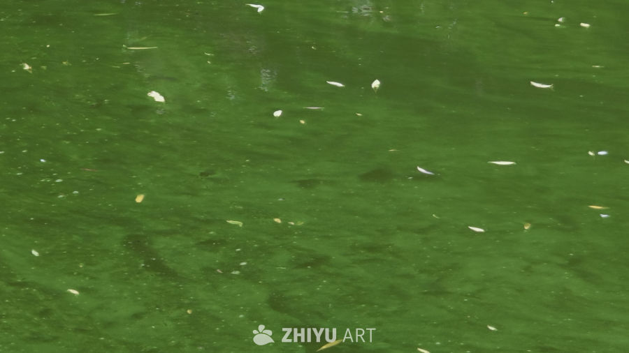 雨后的湖面