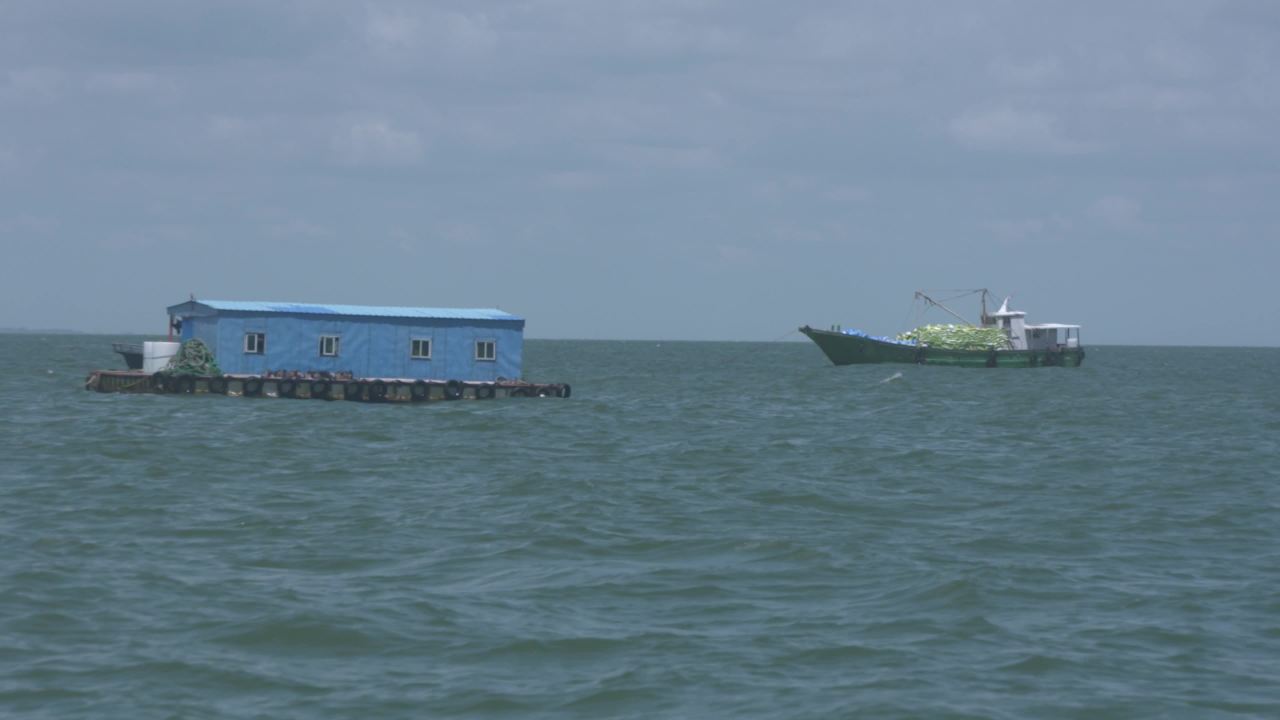 海洋牧场深海养殖